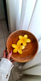 گیره مو پلومریا