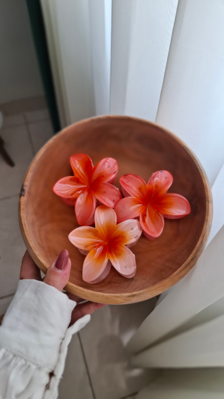 گیره مو پلومریا